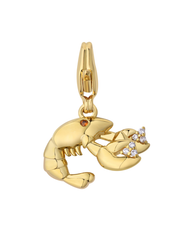 In a Pinch Charm Gold with Exclusive Sticker Sheet