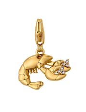 In a Pinch Charm Gold with Exclusive Sticker Sheet