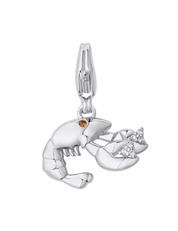 In a Pinch Charm Silver with Exclusive Sticker Sheet