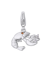 In a Pinch Charm Silver with Exclusive Sticker Sheet