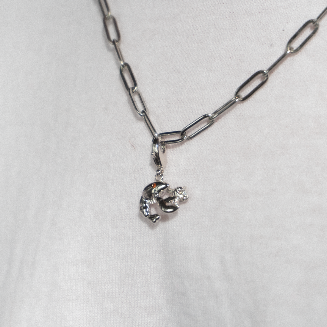 In a Pinch Charm Silver with Exclusive Sticker Sheet
