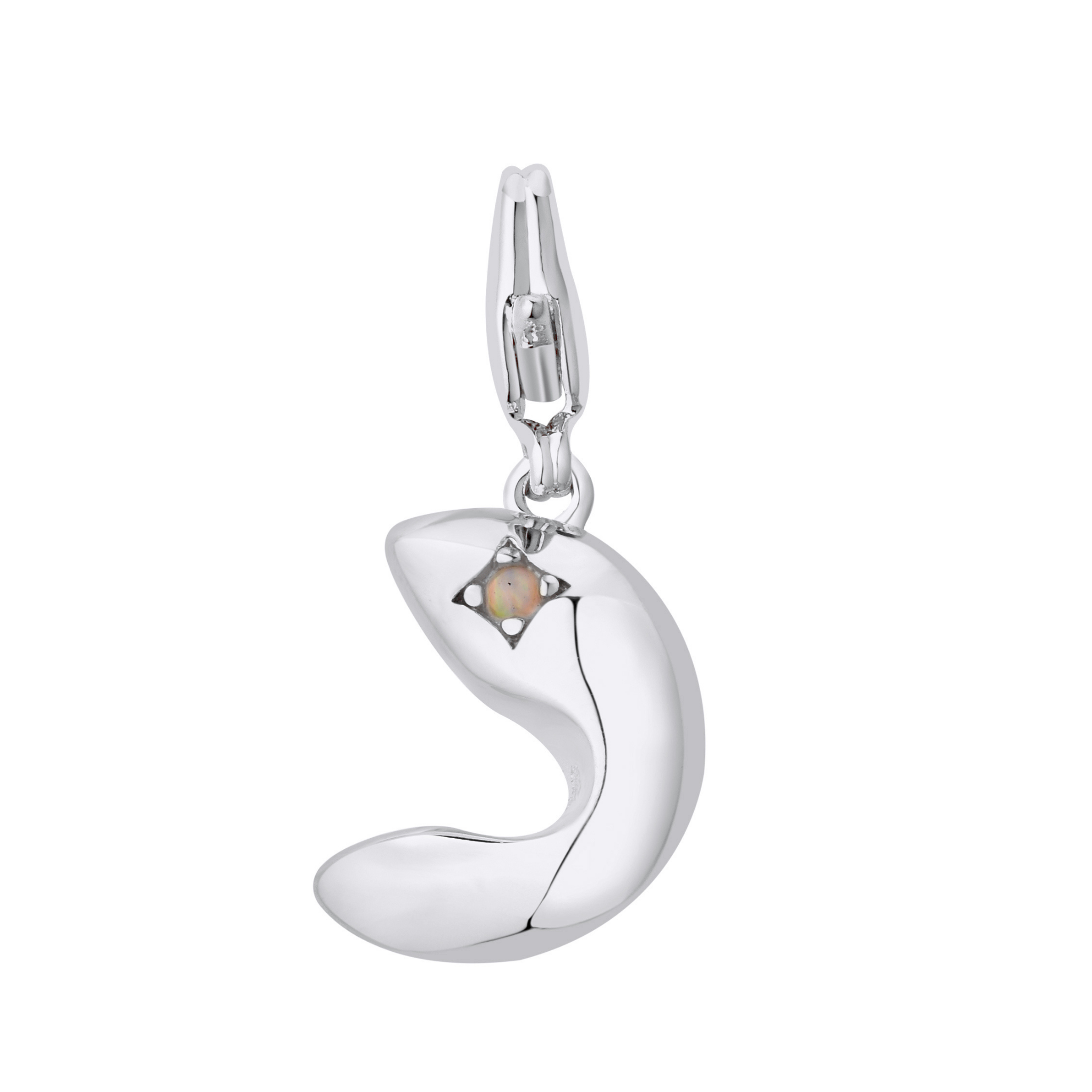 Lucky Cookie Charm Silver