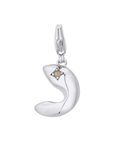 Lucky Cookie Charm Silver with Exclusive Sticker Sheet