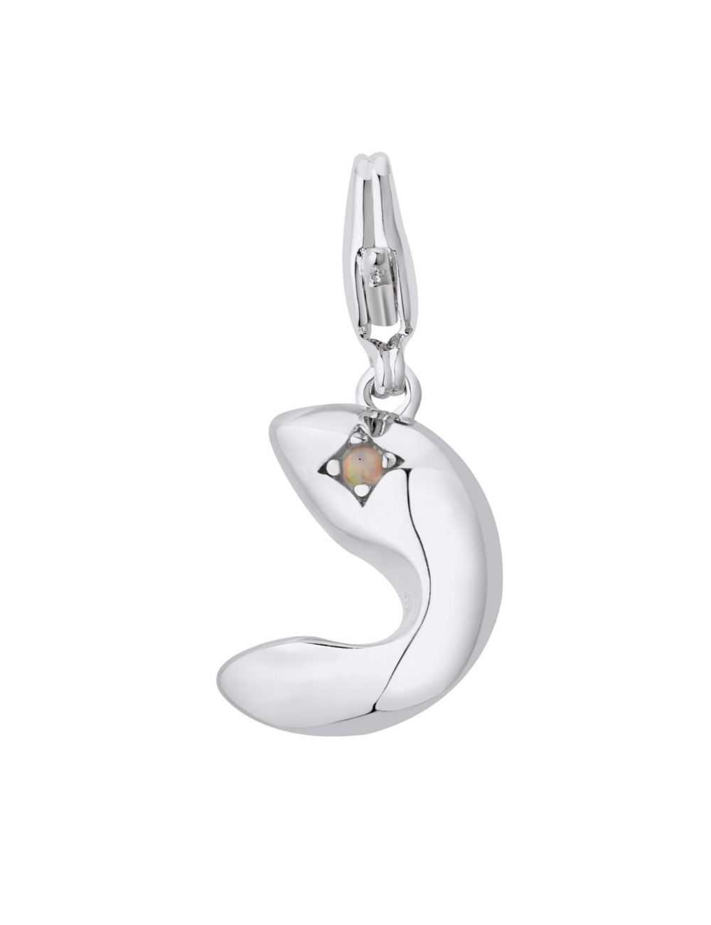 Lucky Cookie Charm Silver