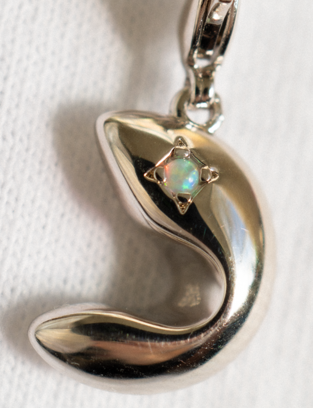 Lucky Cookie Charm Silver